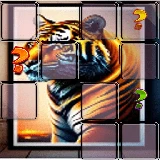 Animal Tiger Memory Match