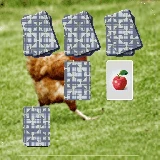 chicken Memory Match