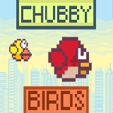 Chubby birds