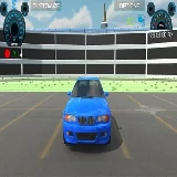 City Car Driving Multiplayer