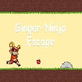 Ginger Ninja Escape