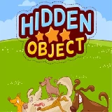 Hidden Object