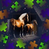 Horses Puzzle quest