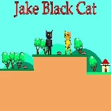 Jake Black Cat