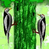 Little woodpecker