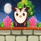 Owl Block