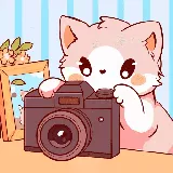 Pet&Pics Meowconnect