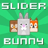Slider Bunny