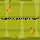 watch out for the roof